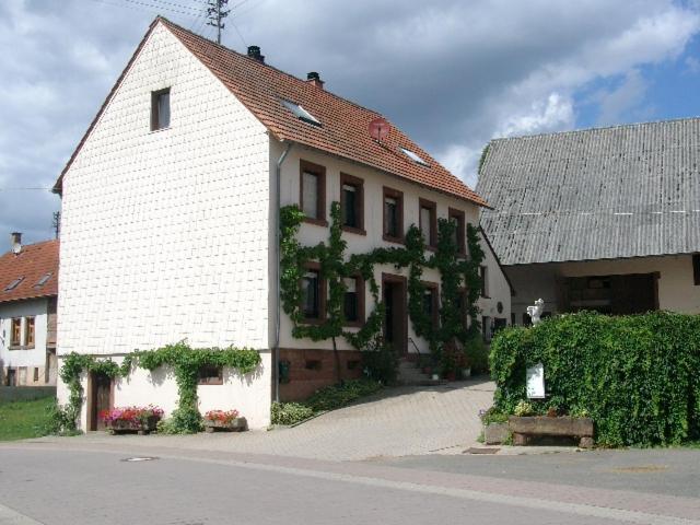 Zucht- Und Ausbildungsstall Rubly Kleinbundenbach Exterior foto